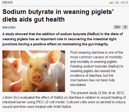 斷奶仔豬日糧添加丁酸鈉有益于腸道健康