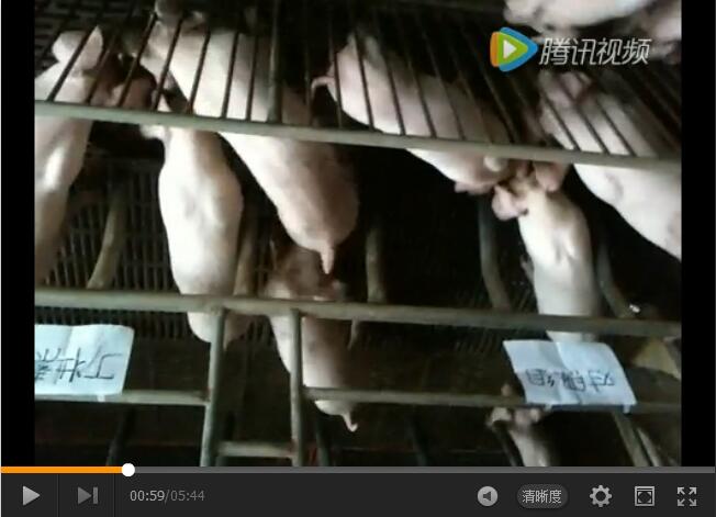 丁壯素誘食實驗