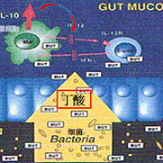 丁酸鈉在水產動物上的應用