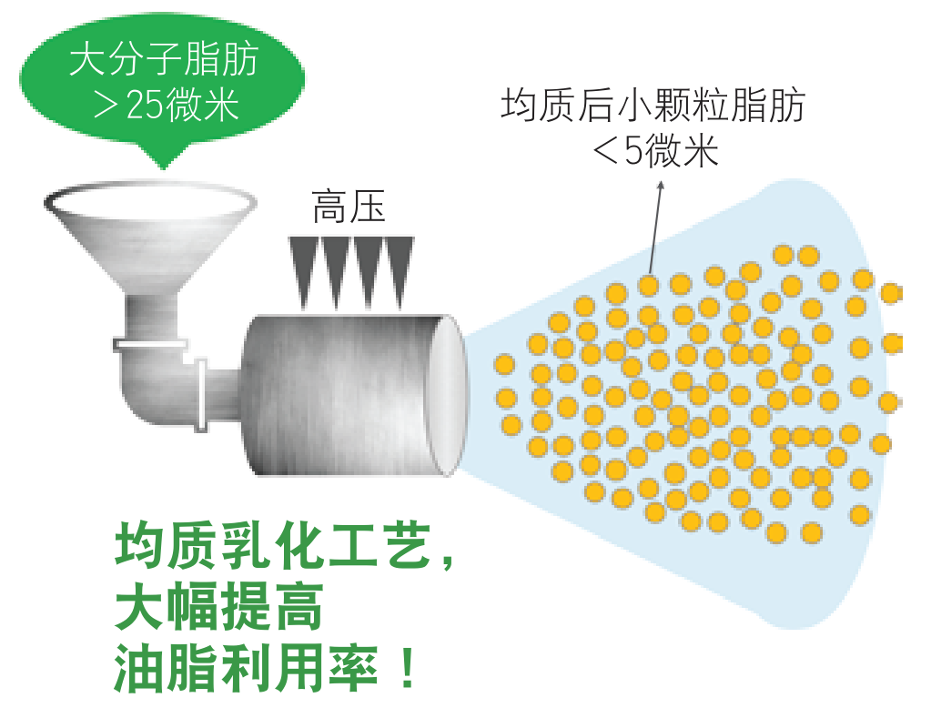 20220930129215.png 圖片16.png