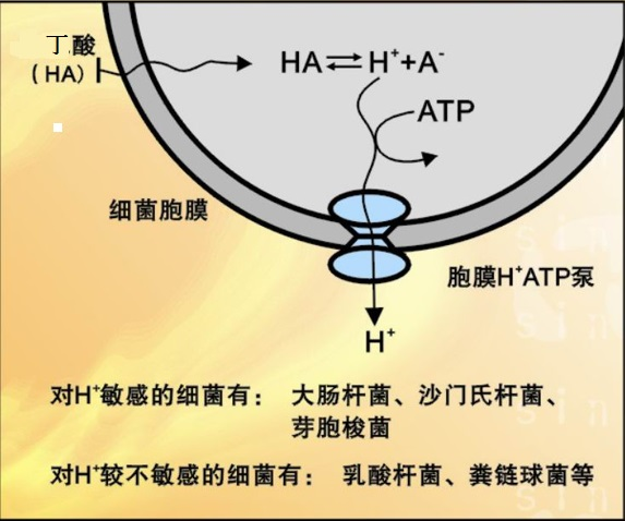 20220930139900.png 圖片8.png