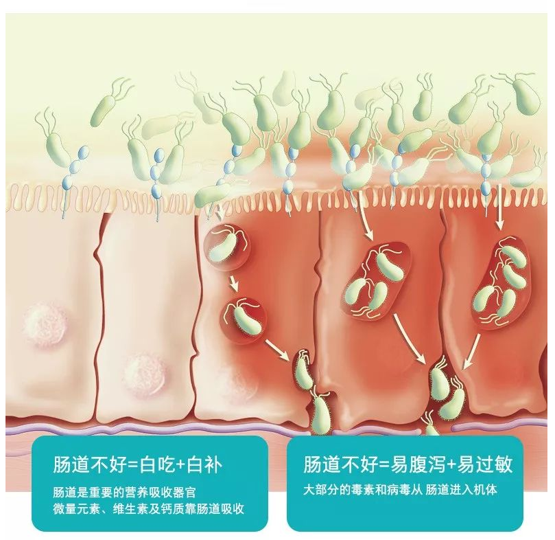 20220930357637.png 圖片7.png