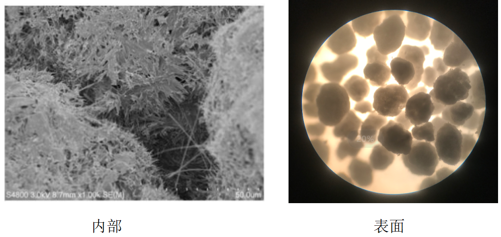 20220930583252.png QQ截圖20220930142020.png