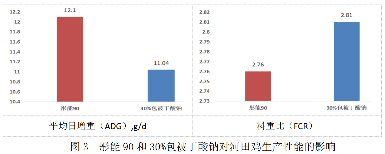 20250319119094.png 3.png