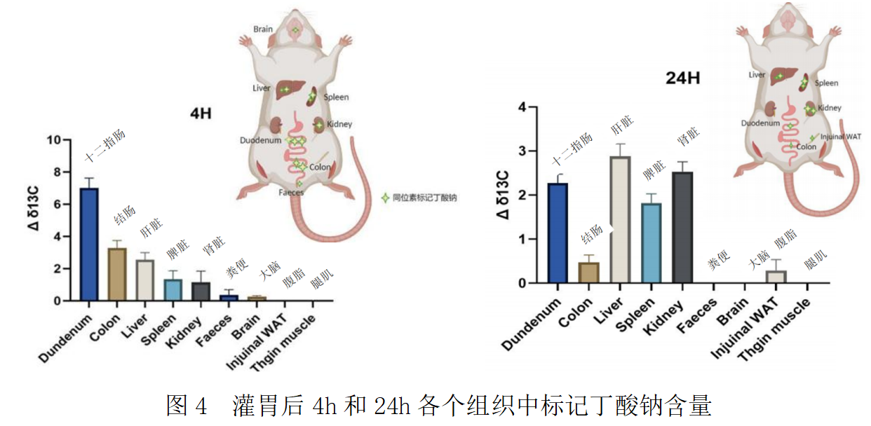 20250319256856.png 4.png