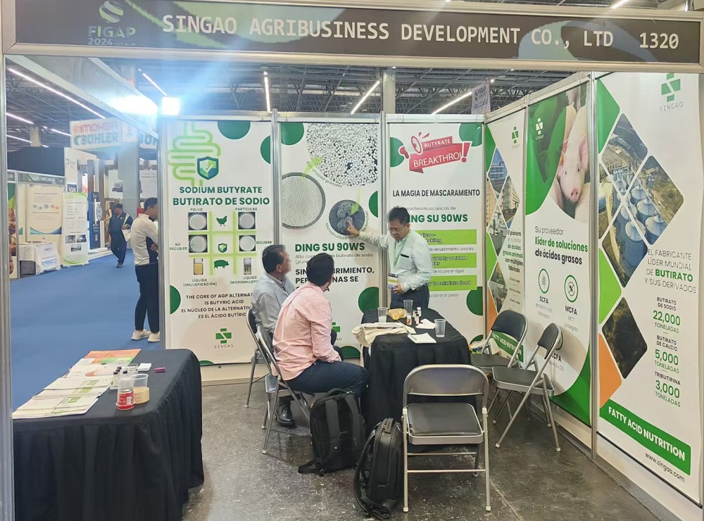 20250319289259.jpg 圖片2.jpg